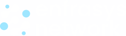 Enfrasys Network Logo